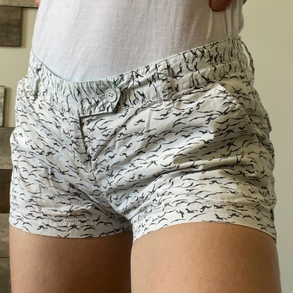 Cute White and black Seagull shorts - Picture 2 of 8
